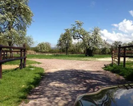 Les Petits De Beaumont-en-Auge