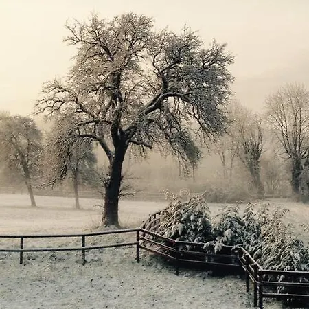 Les Petits De Appartamento