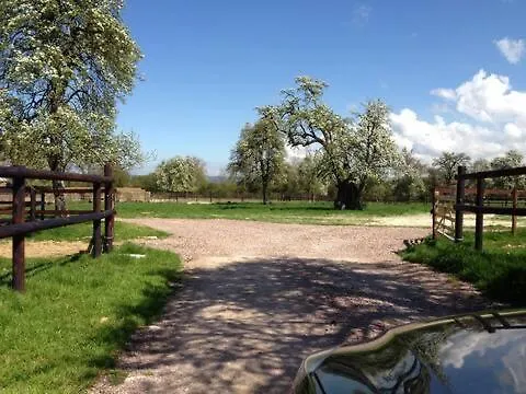 Les Petits De Beaumont-en-Auge