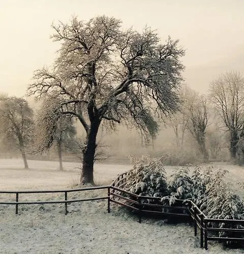 Les Petits De Apartment