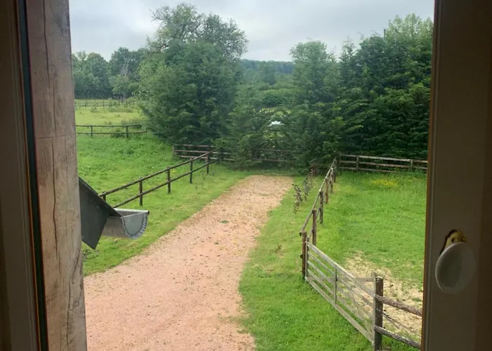 Les Petits De Apartment Beaumont-en-Auge